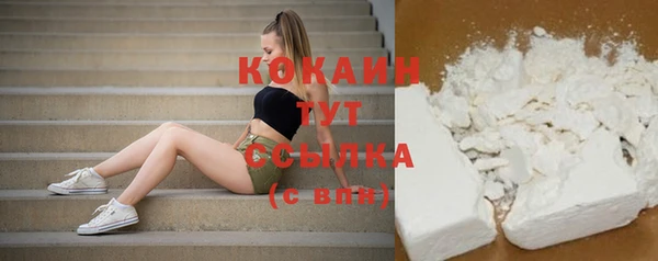 шишки Абинск