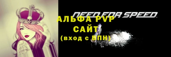 скорость Абаза