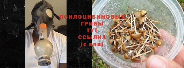 скорость Абаза