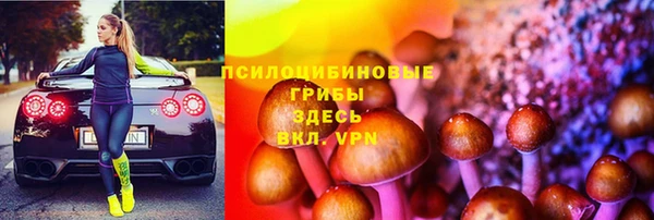 шишки Абинск